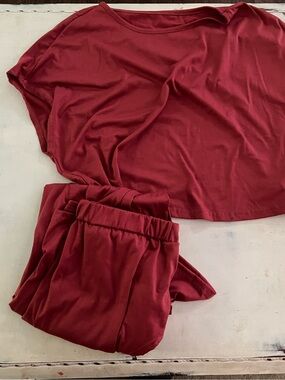 Women's Two-Piece Set in Burgundy- Short Sleeve Crop Top and Skirt Size Large